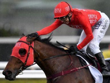 Redzel 2024 Field, Odds, Results, Tips .